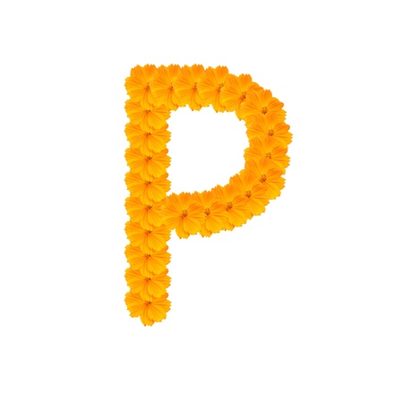 alphabet P from yellow and orange flowers. Isolated on white background. With clipping pathの写真素材