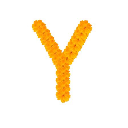 alphabet Y from yellow and orange flowers. Isolated on white background. With clipping pathの写真素材