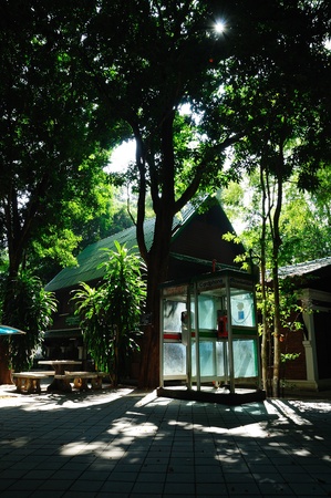 Shiny Phone booth under the shadow of big wood in Wat Umong temple, Chiangmai,Thailand の写真素材