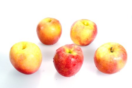different colors apples on white background の写真素材
