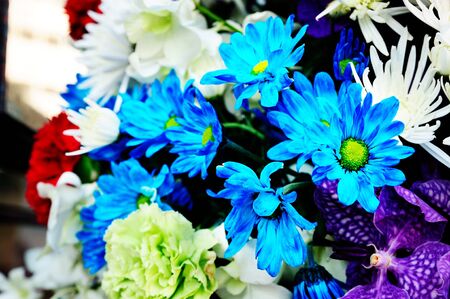 Mixed Flower Backgroundの写真素材