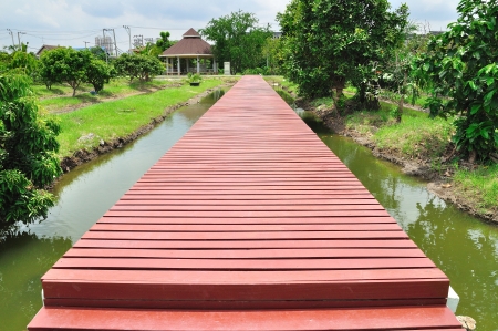 Brown wood bridge in the garden の写真素材