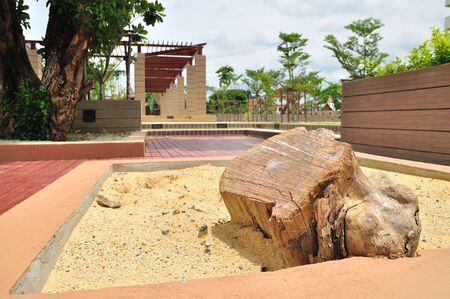 Tree stamp with the sand in the parkの写真素材