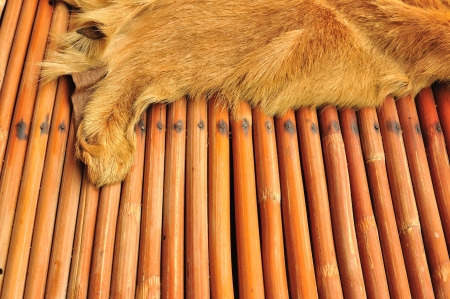 Cow leather over brown rattanの写真素材