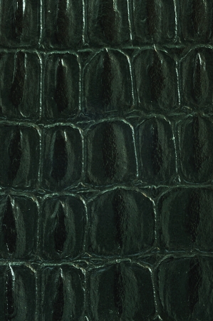 Close up texture of Artificial snake skin or leather for use as backgroundの写真素材
