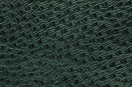 Artificial Ostrich leather texture Background made of Cow leatherの写真素材