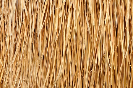 close up Texture Background of brown straw heap の写真素材