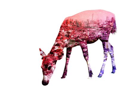 Double Exposure of Deer with Cityscape and Building as Natural or Wildlife conservancy Conceptの写真素材