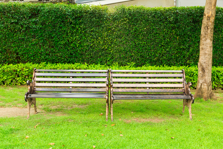 Stylish bench in summer parkの写真素材