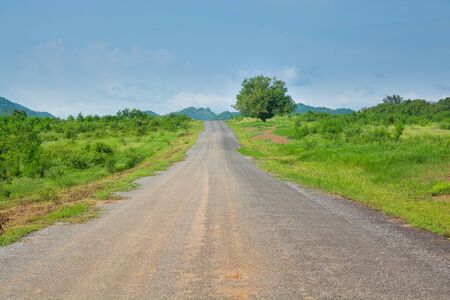 Abandon Countryside Road on the hill with Lonely Tree and Mountain Backgroundの写真素材