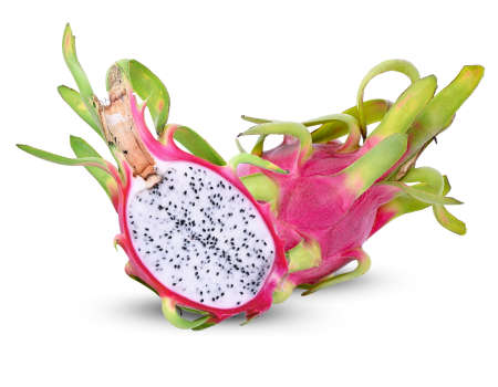 Dragon fruit isolated on white backgroundの写真素材