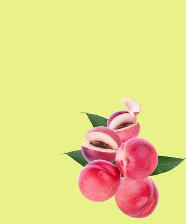 Peach fruit isolated on yellow backgroundの写真素材