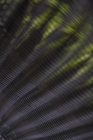 A beautiful dark brown wicker to good background texture.の写真素材