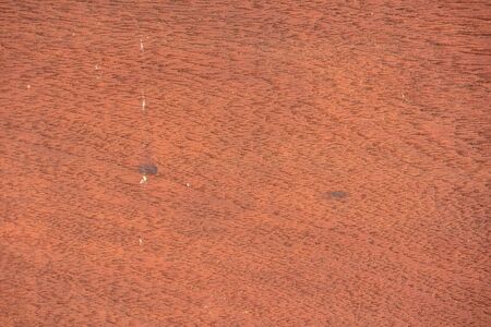 old wood texture background, background for advertisingの写真素材