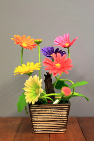 Flower plasticの写真素材
