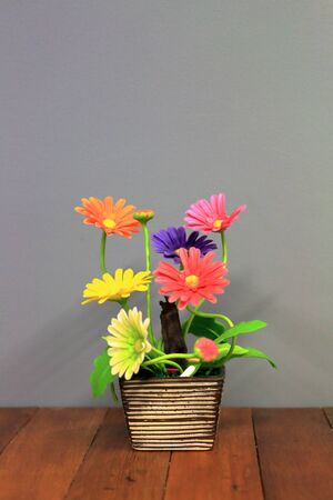 Flower plasticの写真素材