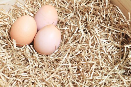 Brown eggs in box or crates and some straw made of paper. shallow depth of field.の写真素材