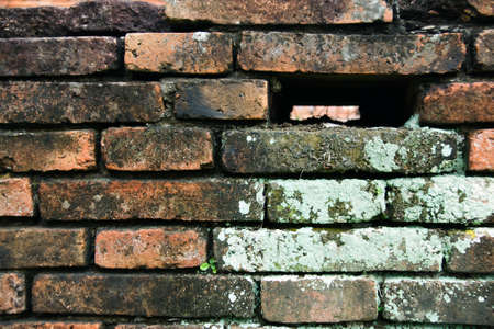 brick wallの写真素材