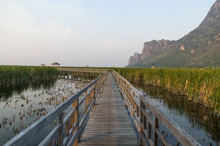 walk way ,lake of Thung Sam Roi Yot, mountain, hillの写真素材