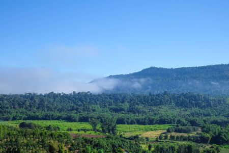 field on a background of the blue skyの写真素材