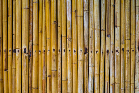bamboo fence backgroundの写真素材