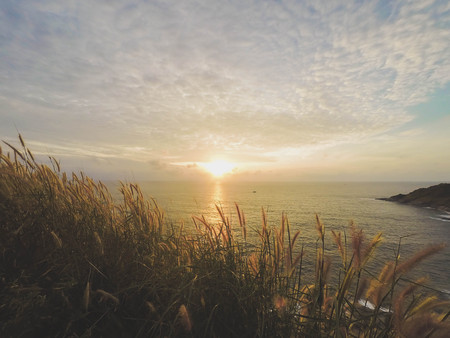landscape fantastic sunset on the wheat field sunbeams glareの写真素材