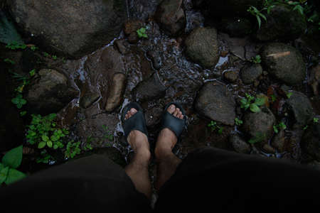 Forest and foot
