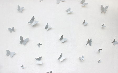Butterfly background attached to the wallの写真素材