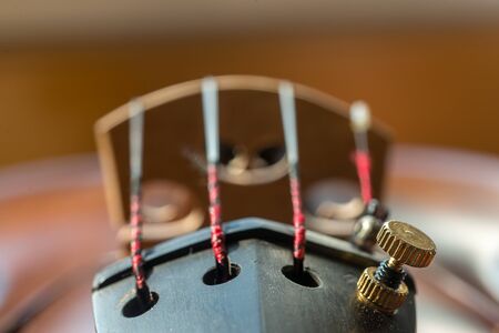 Close-up of the four strings of a violin, and the sound post.の写真素材