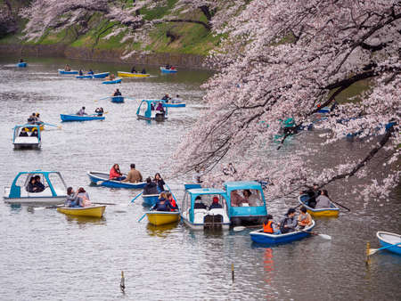TOKYO, JAPAN - MARCH 29, 2020: Closeup of tourists rowing boats along the Chidori-Ga-Fuchi moat, with Sakura trees blooming along the banks. Travel and Hanami flower festivalのeditorial素材