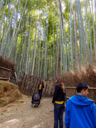 KYOTO, JAPAN - MARCH 30, 2018: Wide view of tourists waiting in line to take selfies with the famous bamboo groves of Arashiyama. Travel and tourism.のeditorial素材