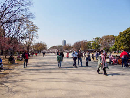 TOKYO, JAPAN - MARCH 27, 2019: Wide angle view of pedestrians walking into Ueno park from its main entrance on a sunny spring day. Hanami Sakura festival. Travel and tourism.のeditorial素材