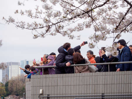 TOKYO, JAPAN - MARCH 29, 2019: Tourists take smartphone selfies with Sakura Cherry Blossoms over the Meguro River. Chidorigafuchi Park, Chiyoda. Travel and Hanami festival.のeditorial素材