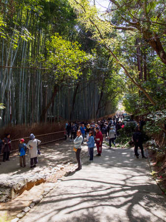 KYOTO, JAPAN -  MARCH 30, 2018: Crowds of tourists at the entrance of the famous Arashiyama bamboo groove. Vertical orientation. Travel and nature.のeditorial素材