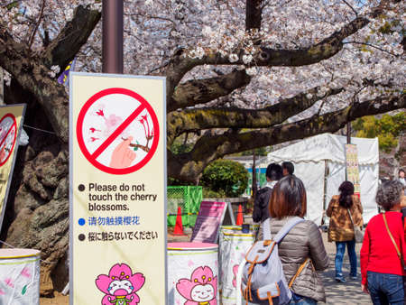 TOKYO, JAPAN - MARCH 27, 2019: Signs warn tourists and locals not to touch Sakura flowers at Ueno Onshi park. Travel and Hanami cherry blossom viewing festival.のeditorial素材