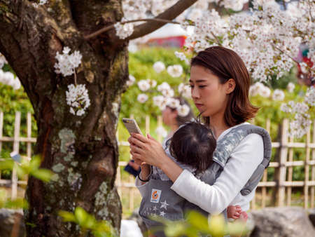KYOTO, JAPAN - MARCH 29, 2018: A young mother and baby in carrier takes smartphone photos of Somei Yoshino cherry blossom flowers. Maruyama Park, Higashiyama. Travel and Hanami sakura festival.のeditorial素材