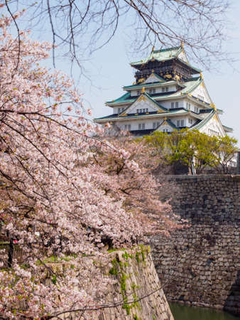 OSAKA, JAPAN - APRIL 3, 2018: Wide vertical view of the Osaka castle Tenshu and park with Somei Yoshino Sakura trees on a clear, sunny, day. Travel and Hanami cherry blossom season.のeditorial素材