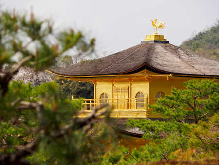 KYOTO, JAPAN - APRIL 2, 2018: Closeup detail of the mythical phoenix atop the Kinkakuji golden pavilion among the pine trees of the surrounding gardens. Travel and tourism.のeditorial素材