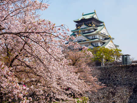 OSAKA, JAPAN - APRIL 3, 2018: Wide view of Osaka castle and park with blooming Somei Yoshino Sakura trees on a clear, sunny, day. Travel and Hanami cherry blossom season.のeditorial素材
