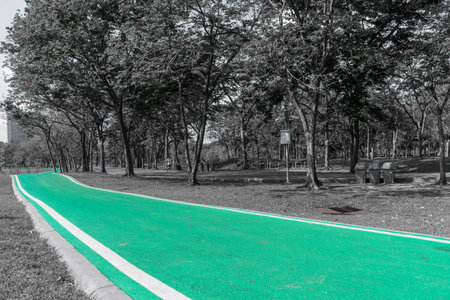 The morning activity.の写真素材