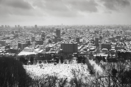 The city full of snow but no sun shine in a cloudy day in winter.の写真素材