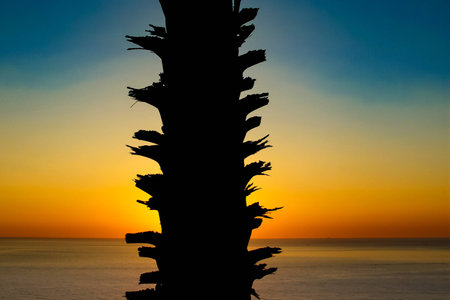 A place in Thailand that tourist favour to visit is Laem Phromthep in Phuket to see a beautiful sunset scene.の写真素材
