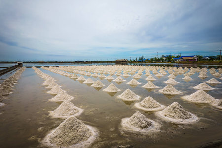 There are many salt farm in central region of Thailand and the most are in province near the sea.の写真素材