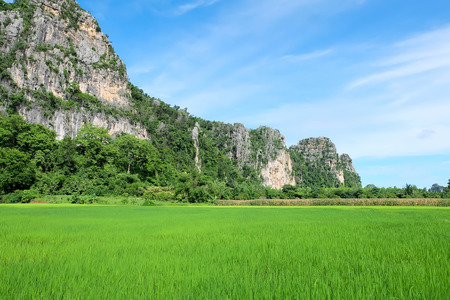 Limestone mountainの写真素材