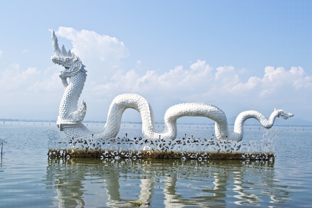 Serpent on the surfaceの写真素材