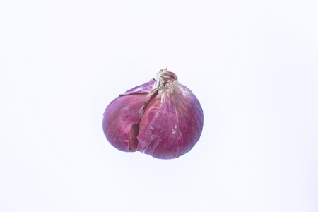 Shallotsの写真素材