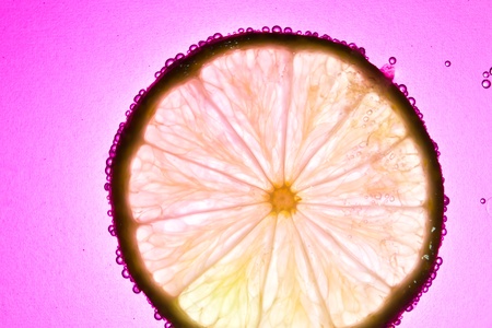 Lime in the waterの写真素材