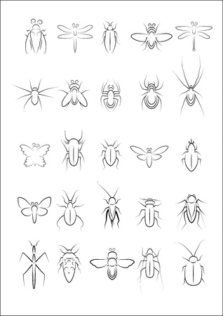 Collection of insect vectorのイラスト素材