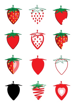  Collection of strawberry 	 のイラスト素材