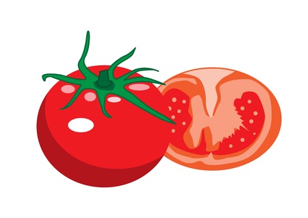 Tomato のイラスト素材